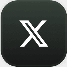 x icon