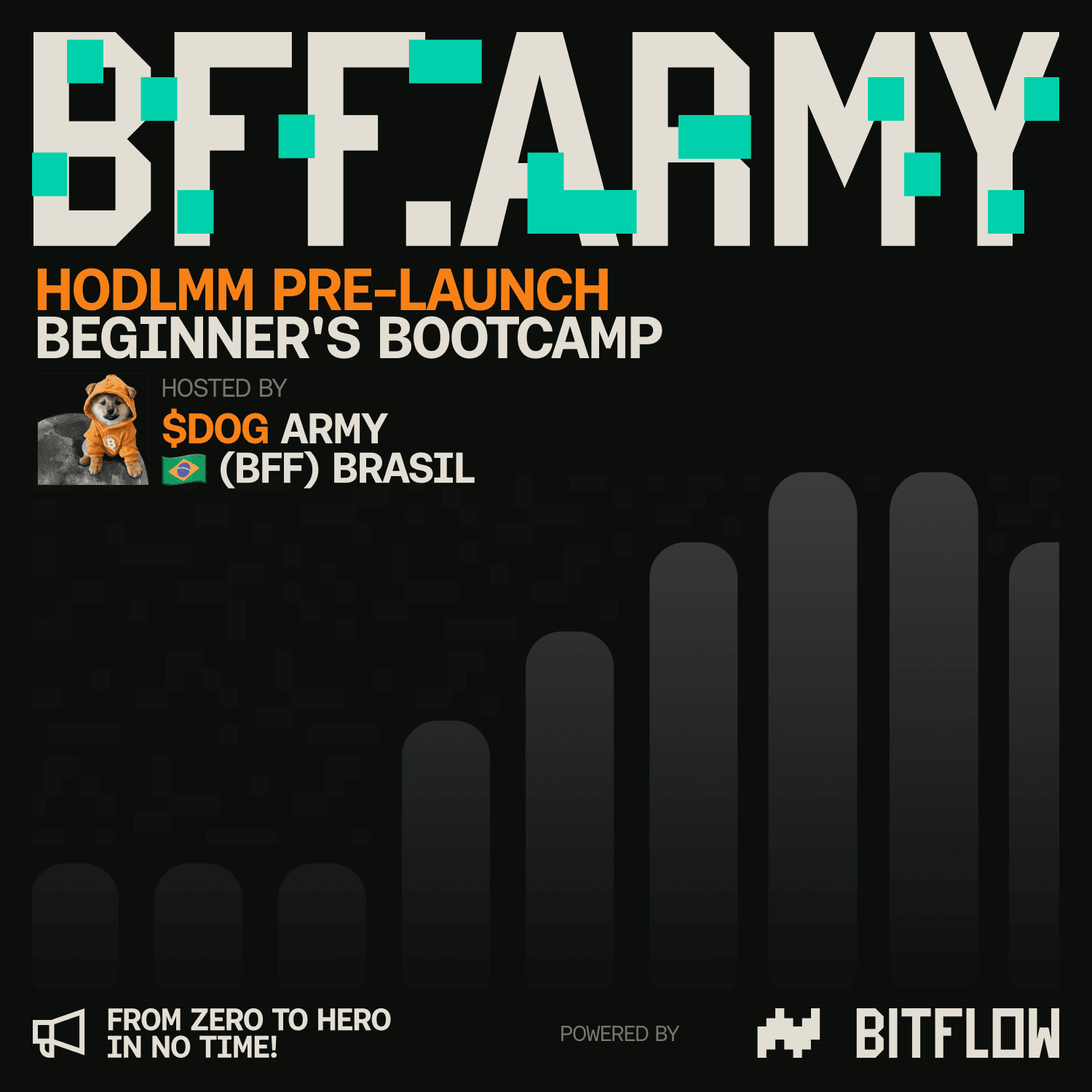 HODLMM Beginner’s Bootcamp w/ $DOG Army 🇧🇷 Brazil (Pre-Launch)